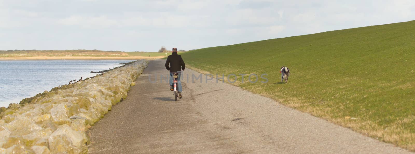 A cyclist with his dog on a dutch dike