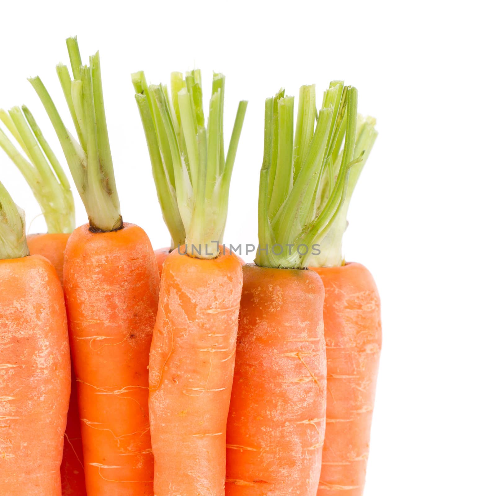 Heap of carrots isolated on a white background