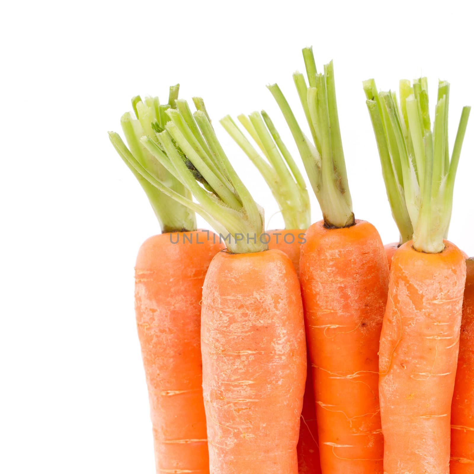 Heap of carrots isolated on a white background