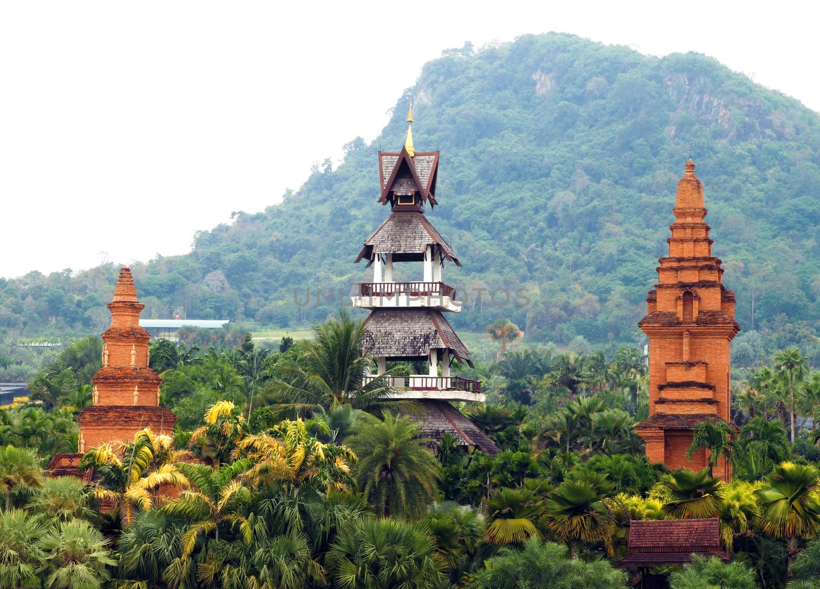 Nongnooch Tropical Botanical Garden, Pattaya, Thailand by geargodz