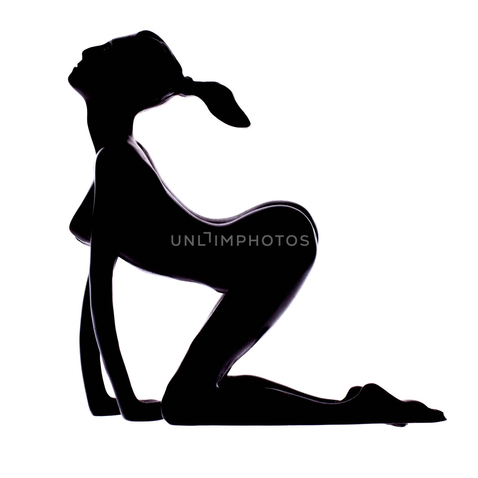 Sexy silhouette of a black woman by michaklootwijk