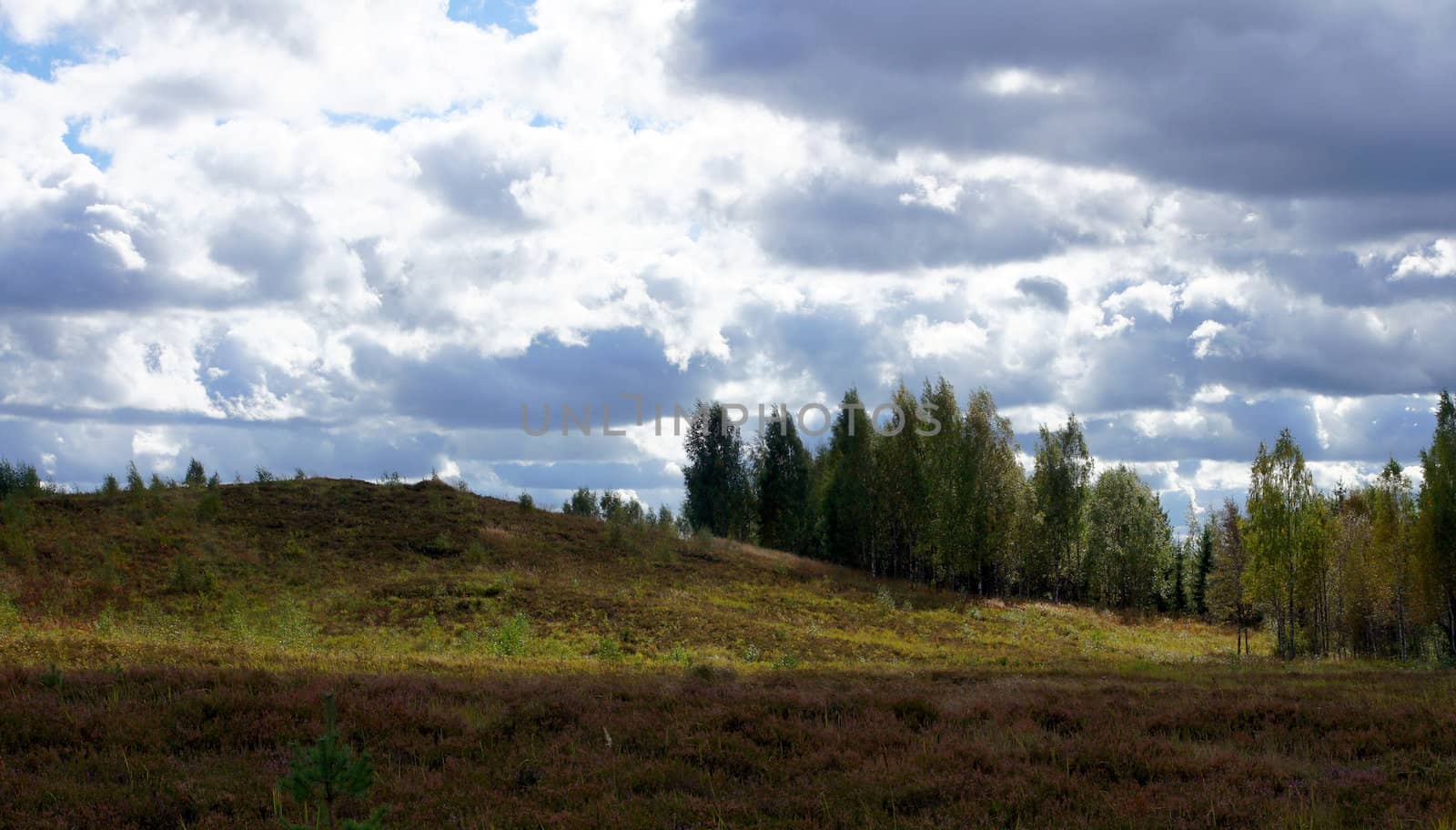 Small hills on a background of the sky