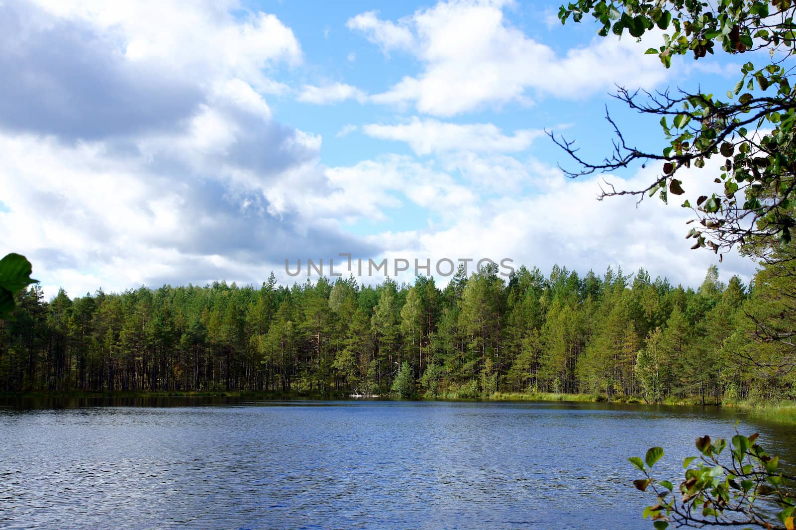 Landscape with lake by andrei_kolyvanov