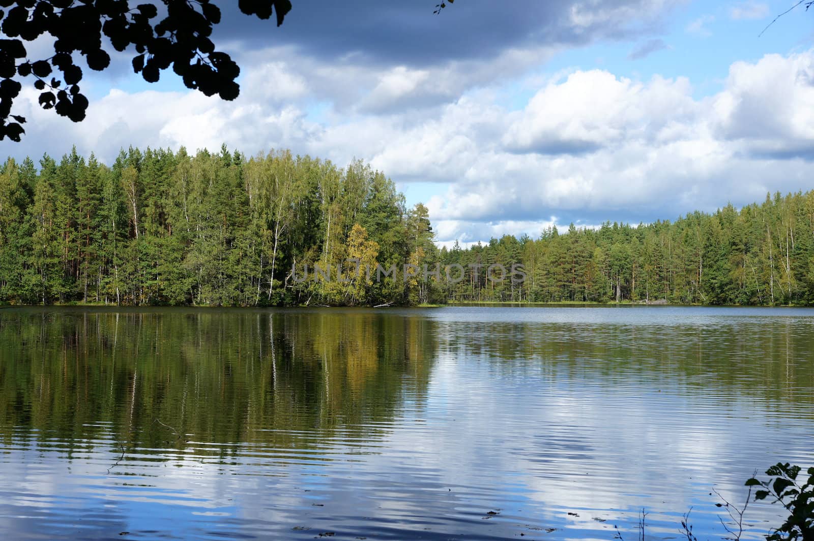 Lake and trees on a background of the blue sky