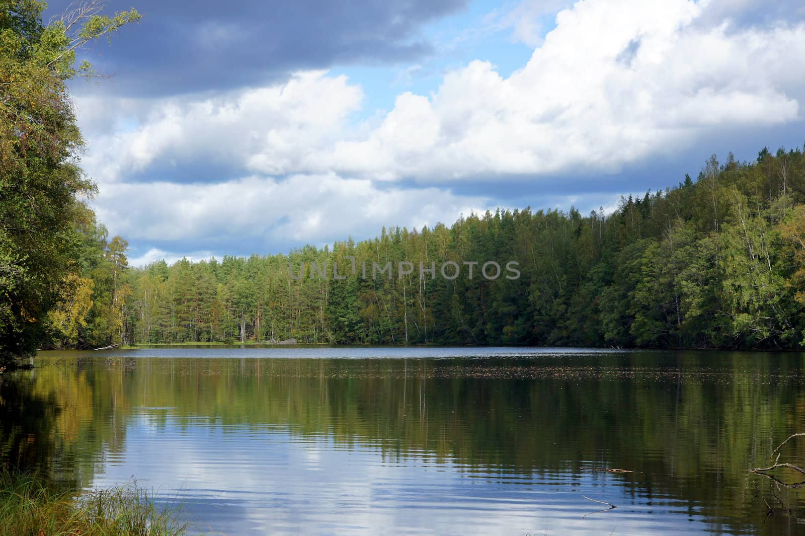 Lake and trees on a background of the blue sky