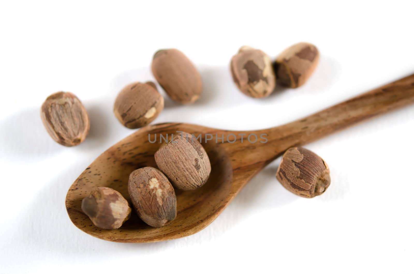 dry red lotus seeds with wooden spoon