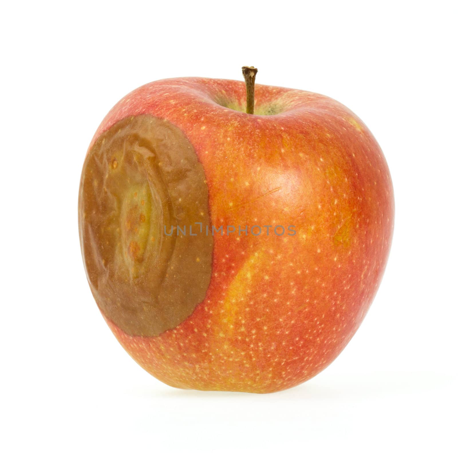 One bad red apple isolated on white background