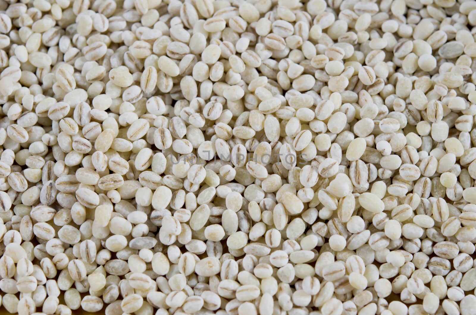 Pearl barley texture background full frame