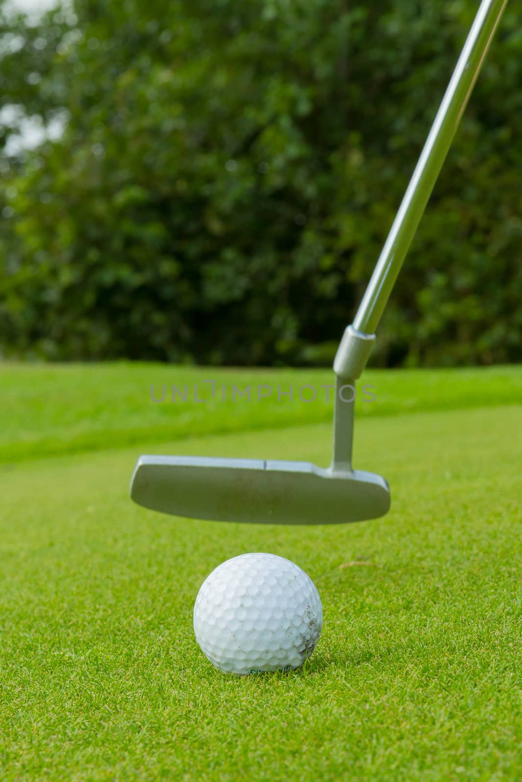 Golf ball on front of a driver at driving range