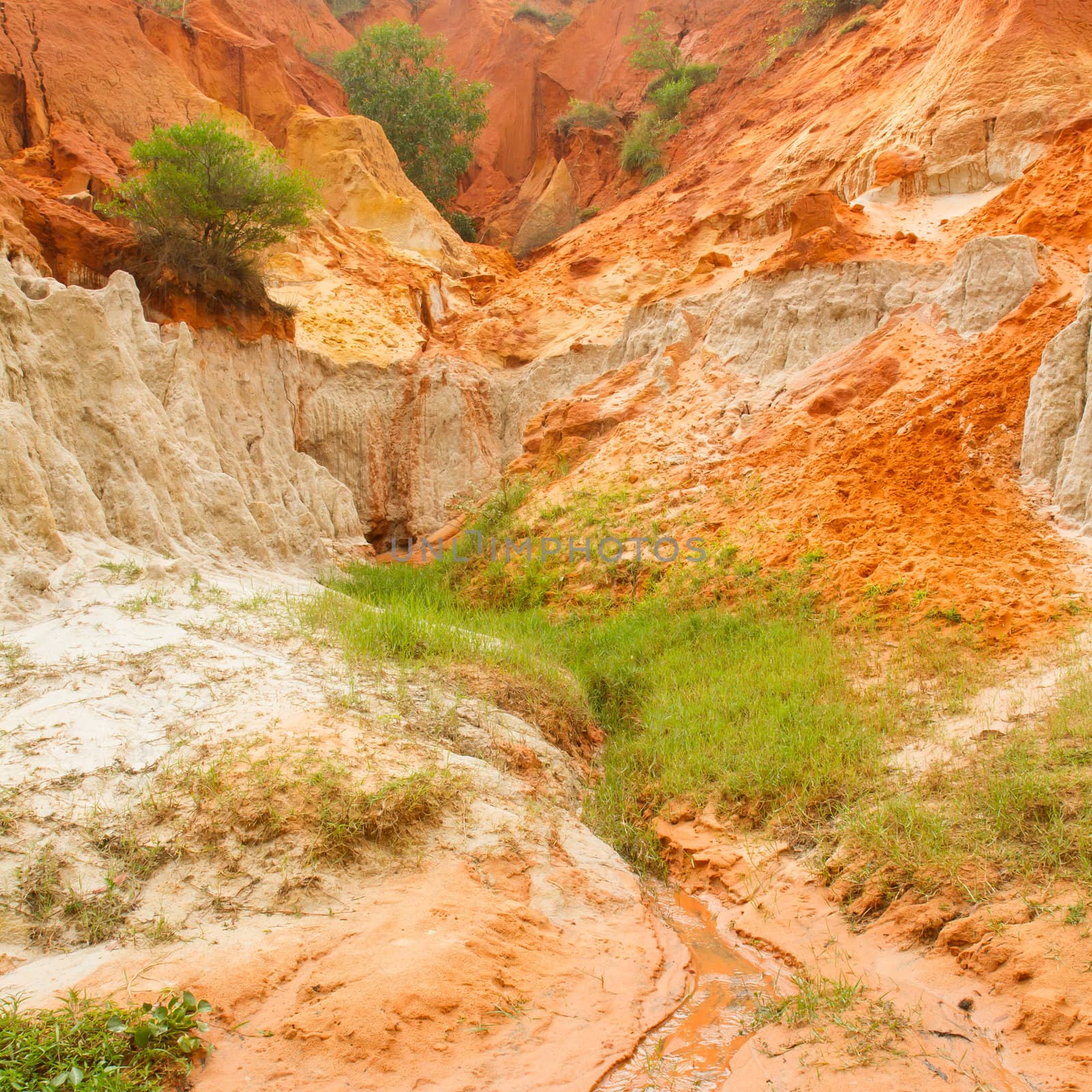 Ham Tien canyon in Vietnam, small stream carving through the sand