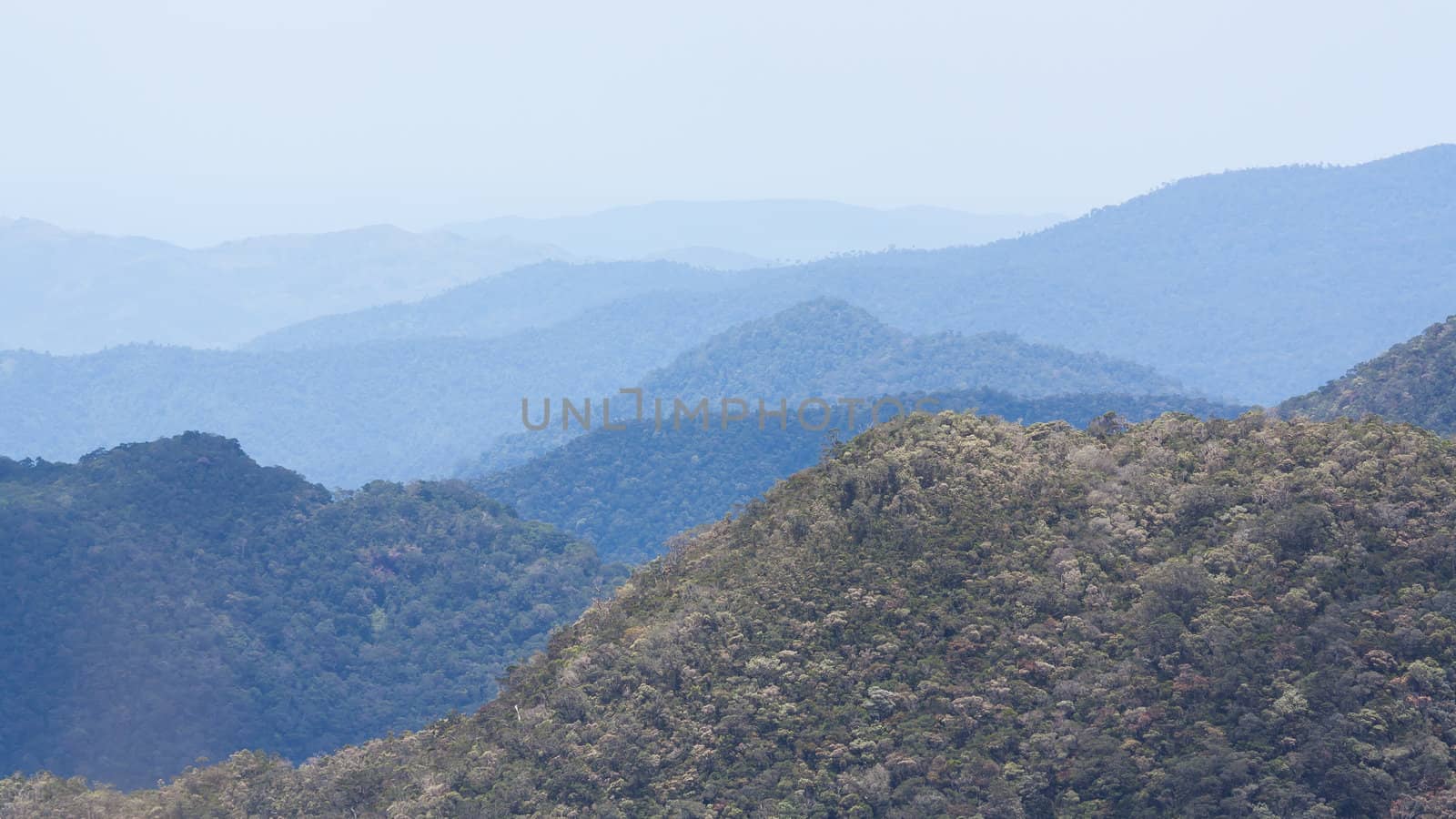 View of a the Vietnamese jungle in a beautiful early morning with fog between hills
