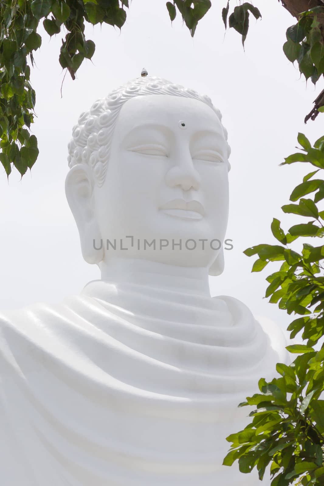 Large Buddha, landmark on Nha Trang, Vietnam