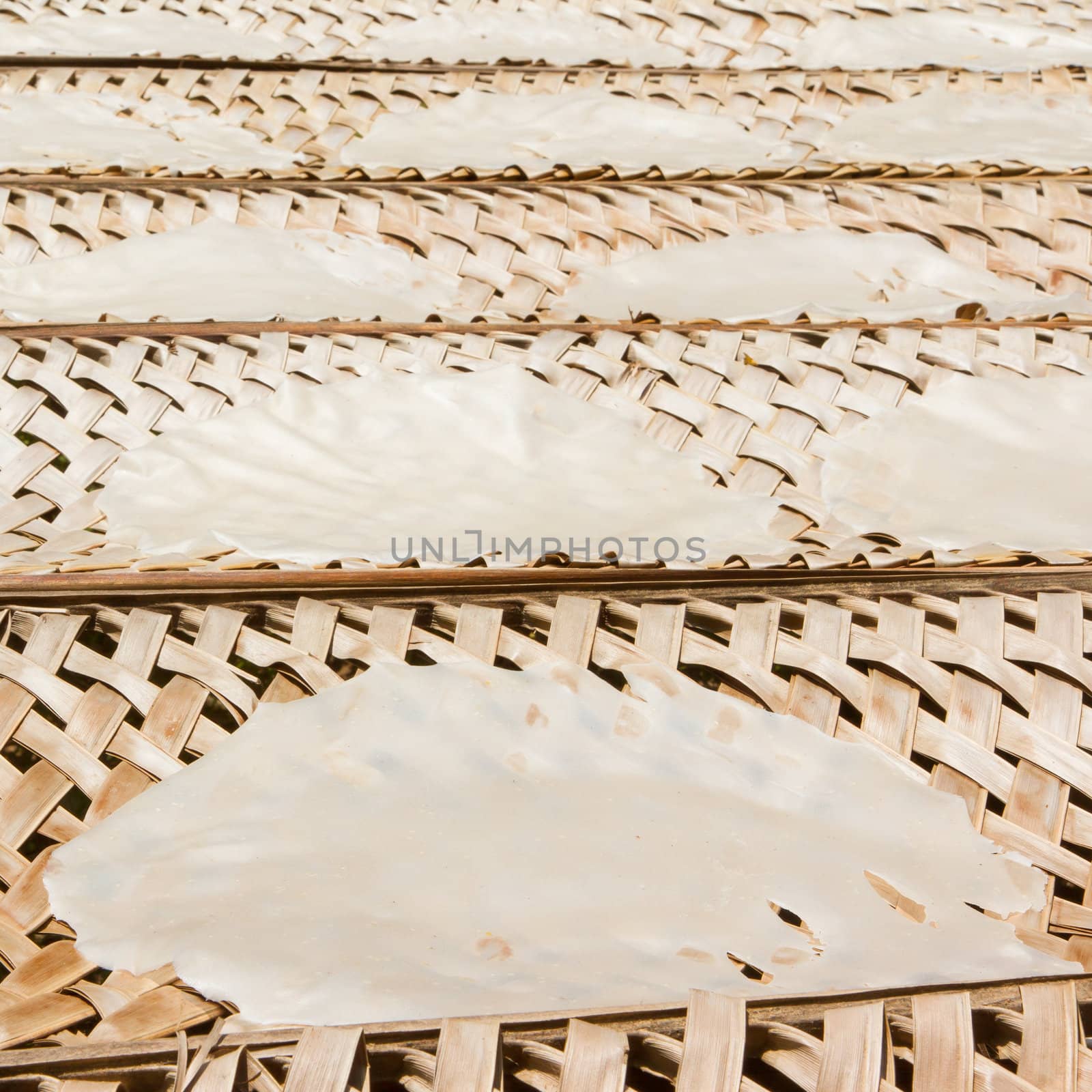 Rice paper drying at a bamboo frame  by michaklootwijk