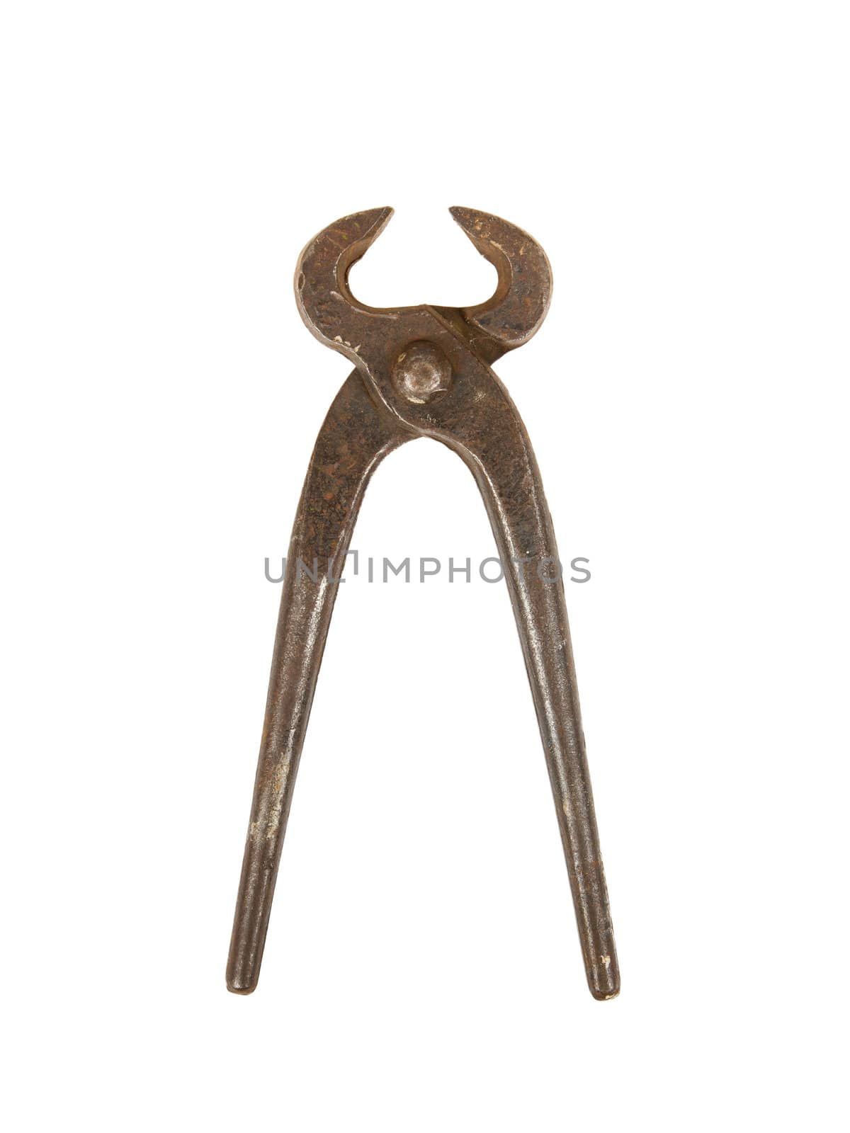 Old iron nippers isolated on white background