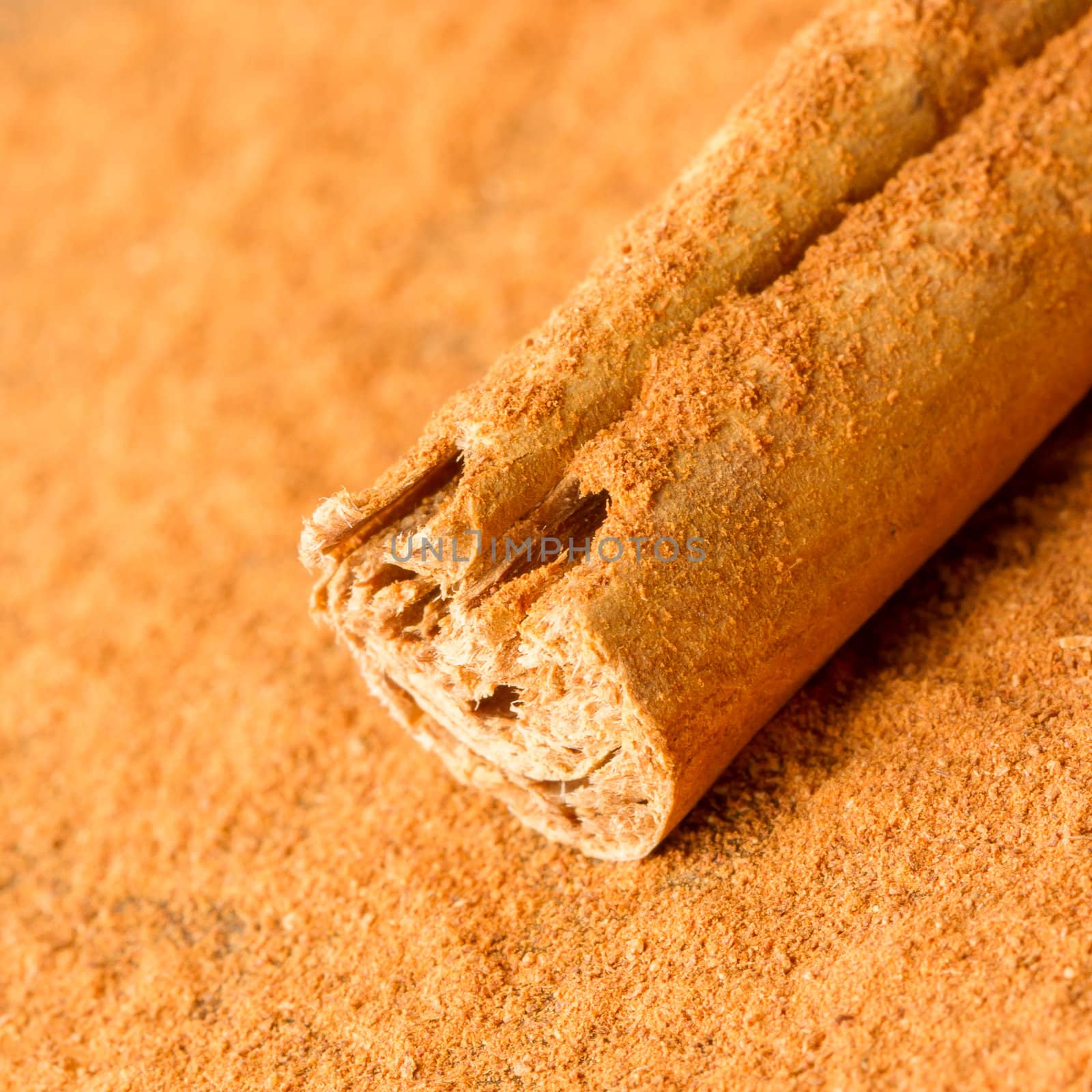 Cinnamon stick isolated on a wooden background (with cinnamon)