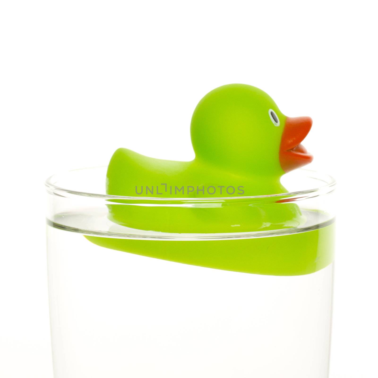 Green duck in a glass of water
