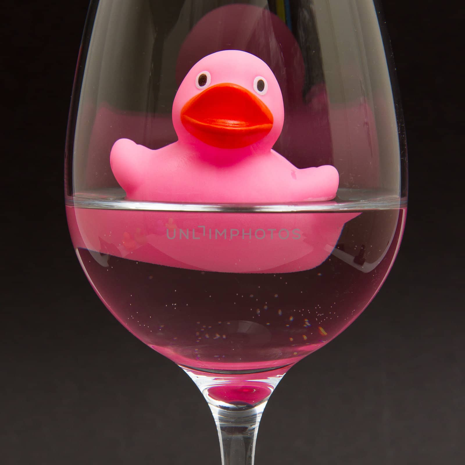 Pink rubber duck in a wineglass by michaklootwijk