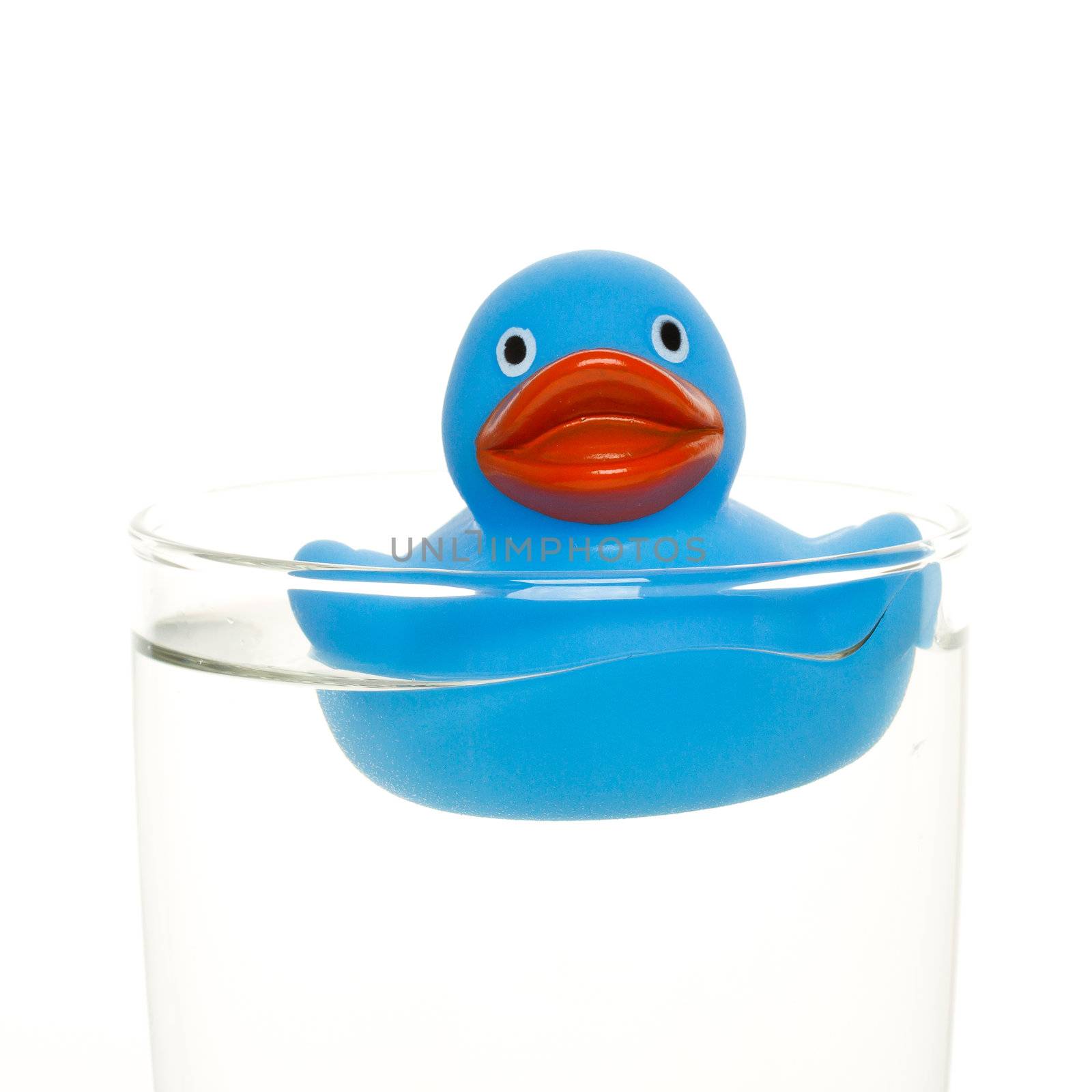 Blue duck in a glass of water