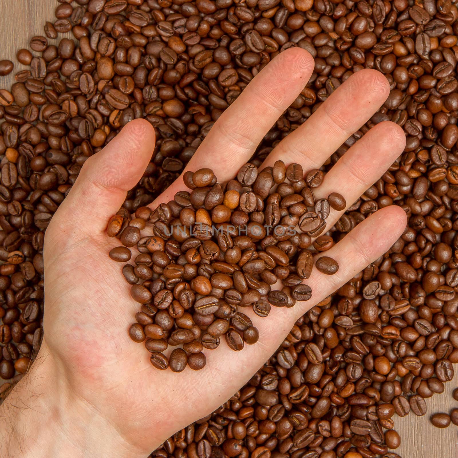 Coffee beans in hand (white male), isolated