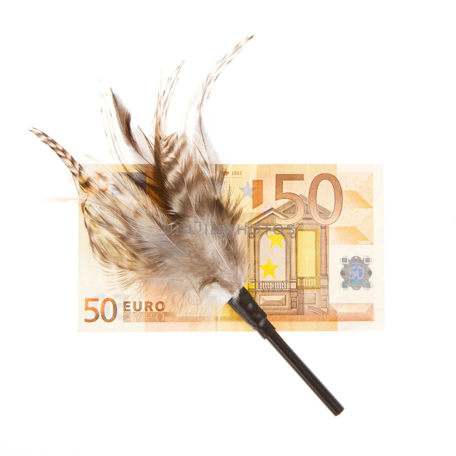 Feathers for teasing with money, isolated on white, prostitution