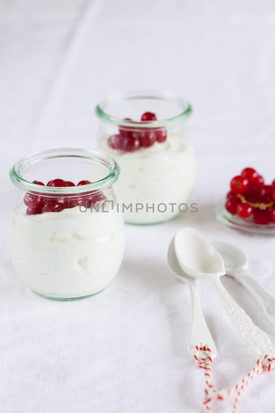 Small jars with yogurt and red currants