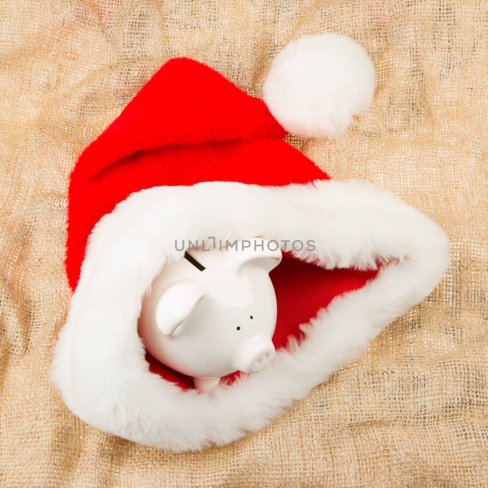 Piggybank guarding Santa's crisis budget, one dollar in his hat
