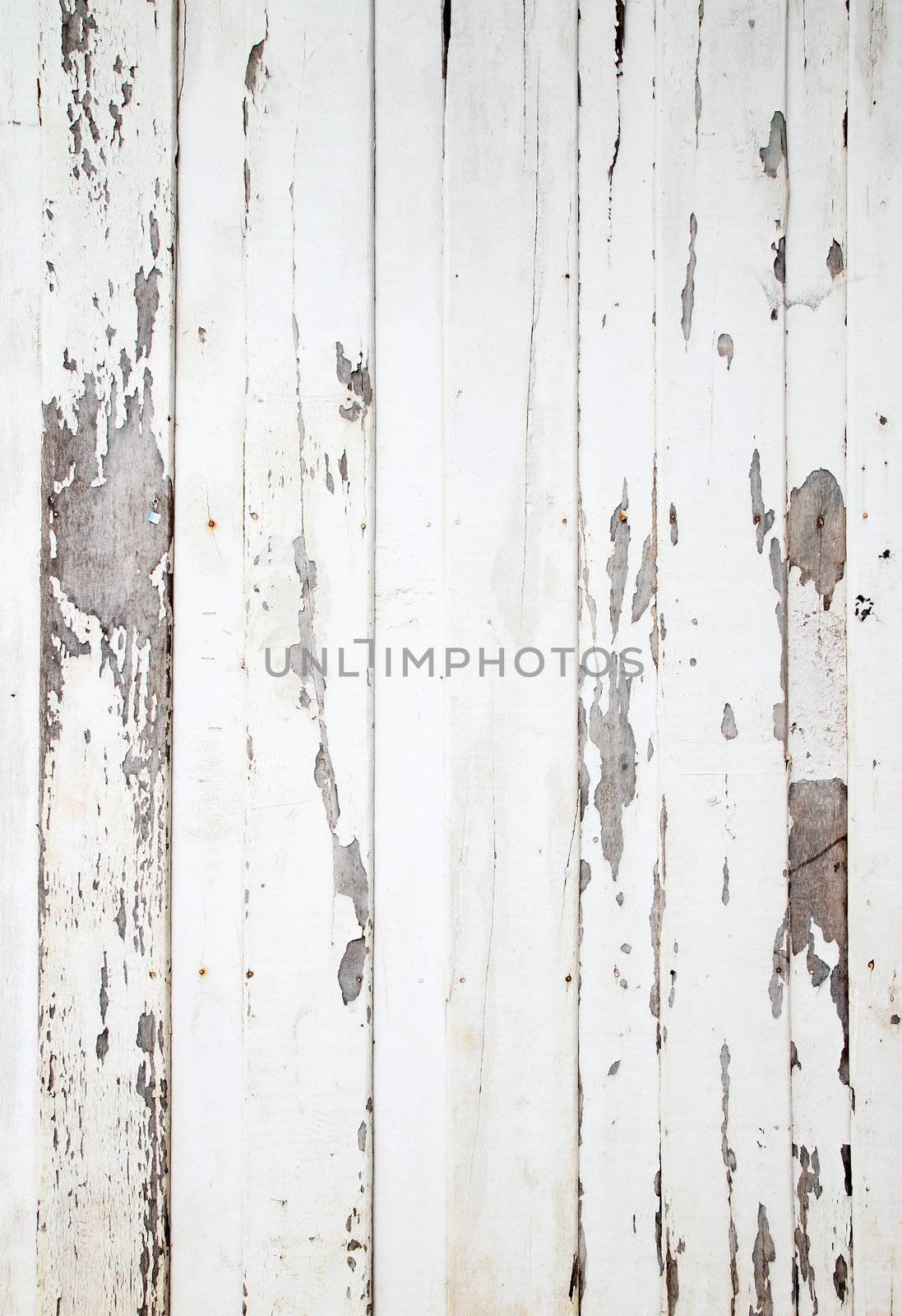 white wood texture with natural patterns by geargodz