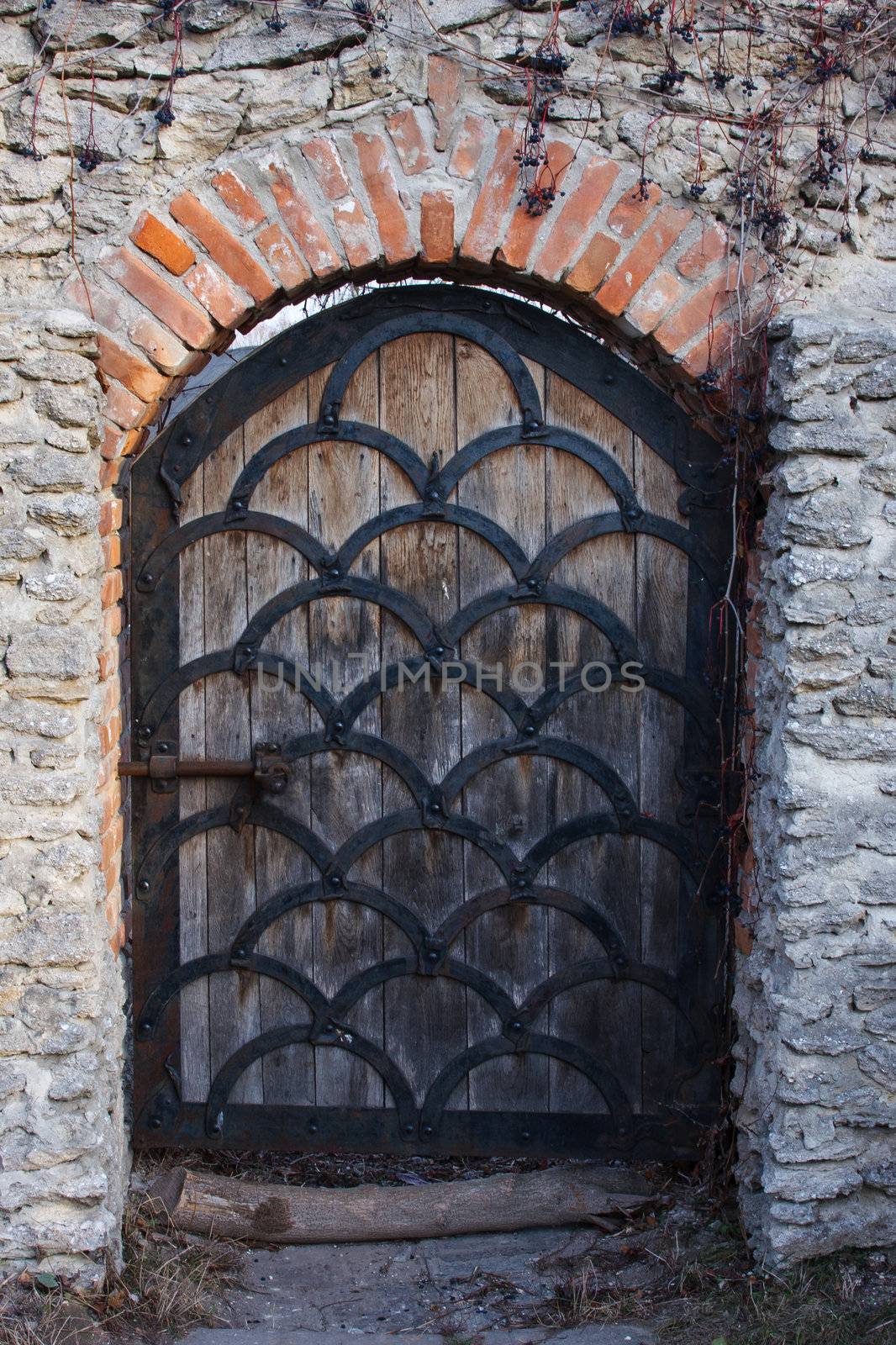 Old wooden door from medieval era. Dubno, Ukraine