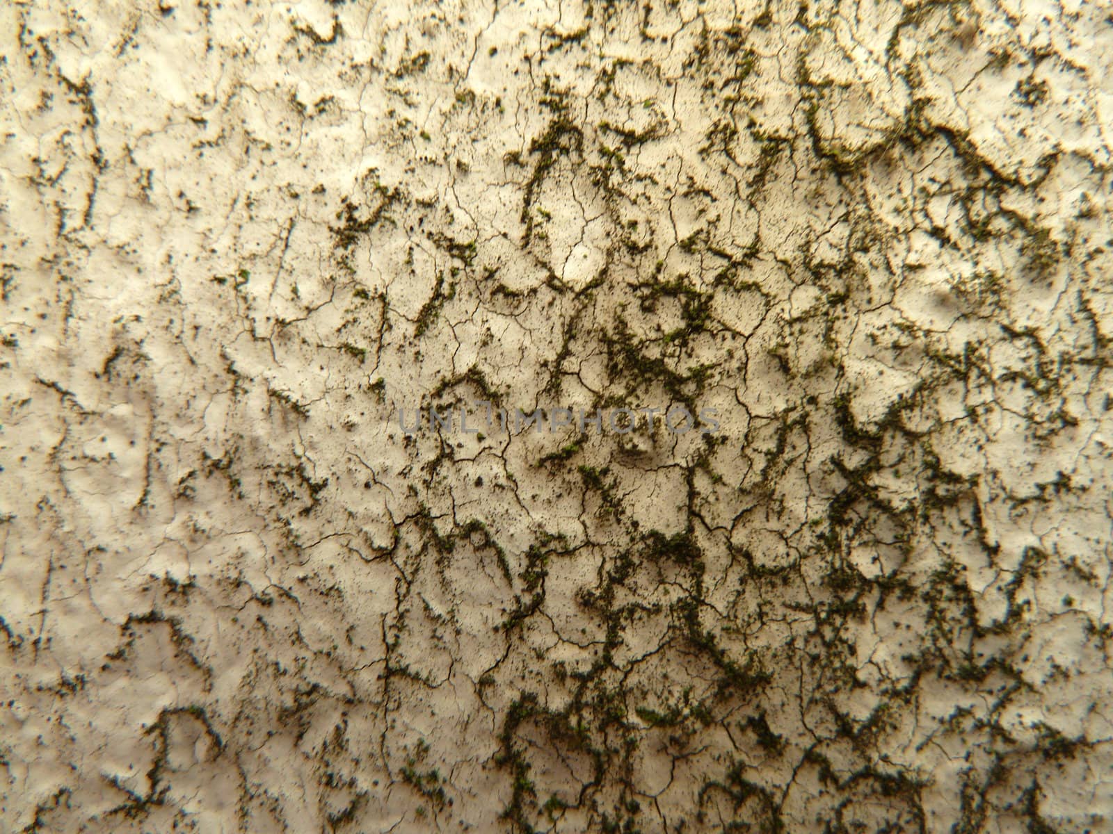 dirty texture as a background