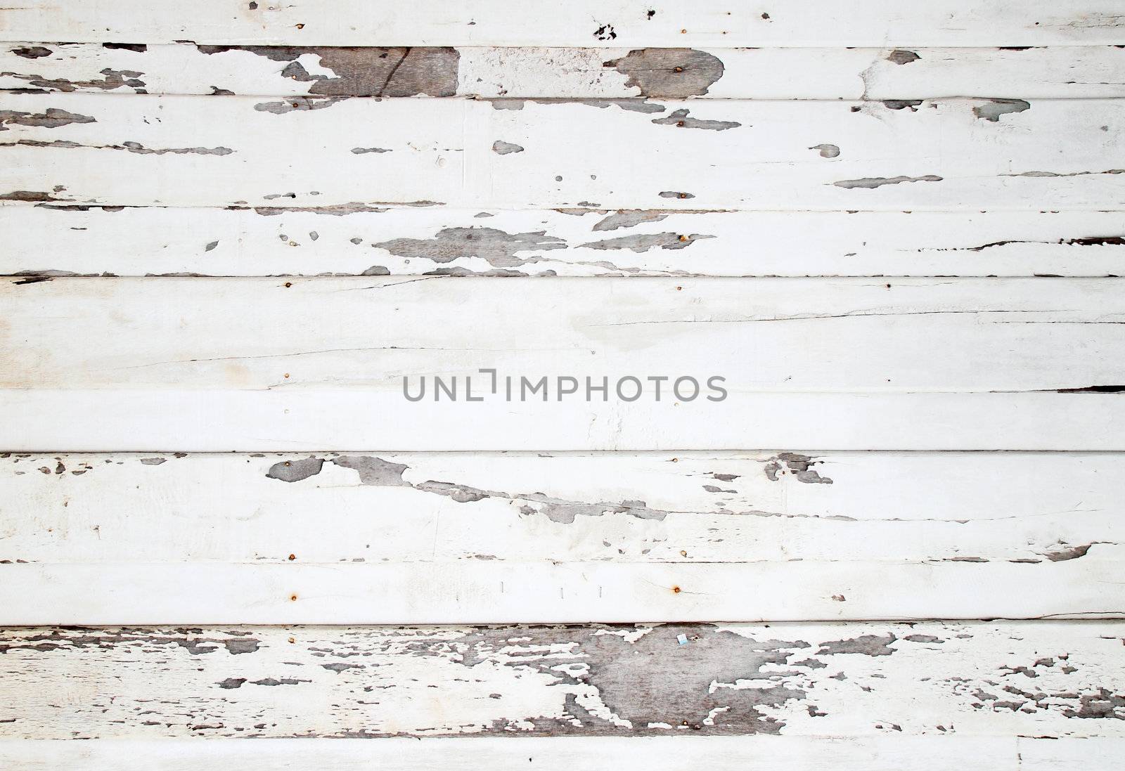 white wood texture with natural patterns