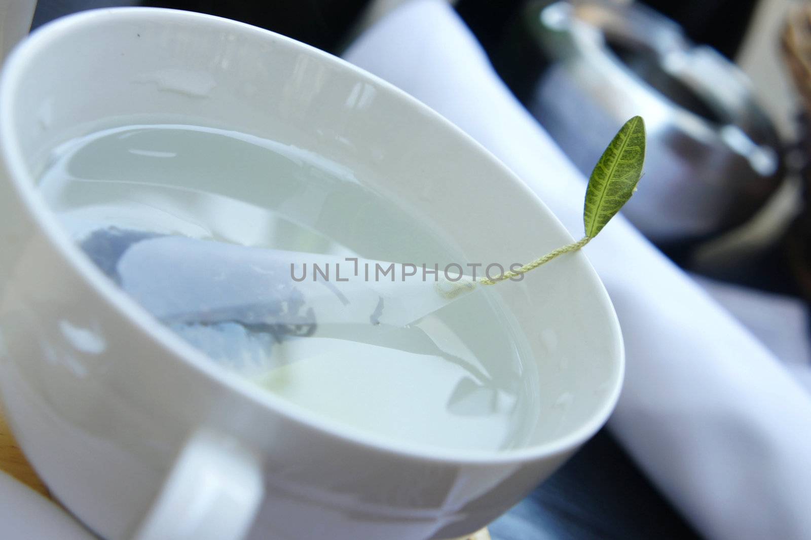 Green tea in the white cup   by tanouchka