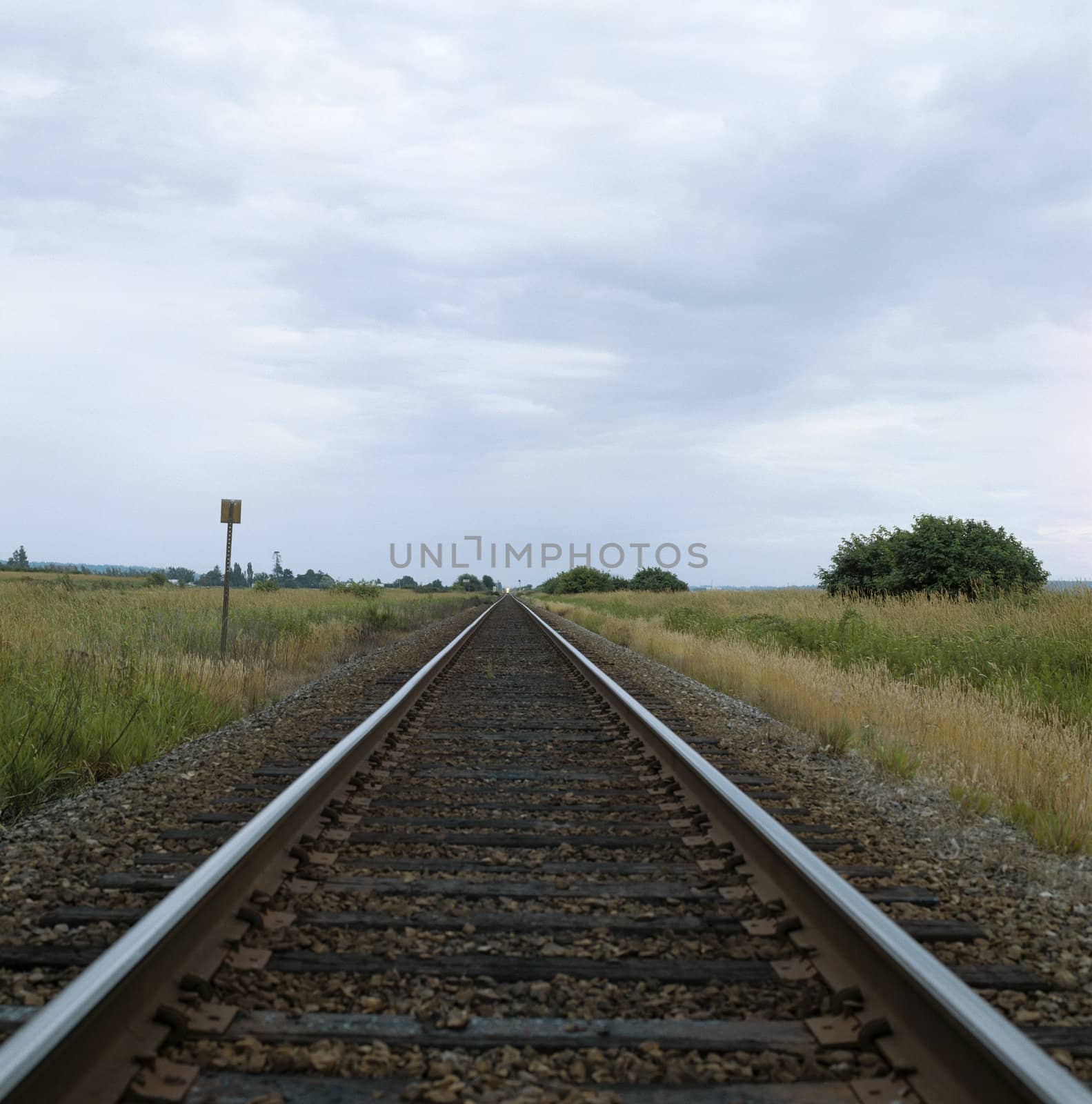 Train track by mmm
