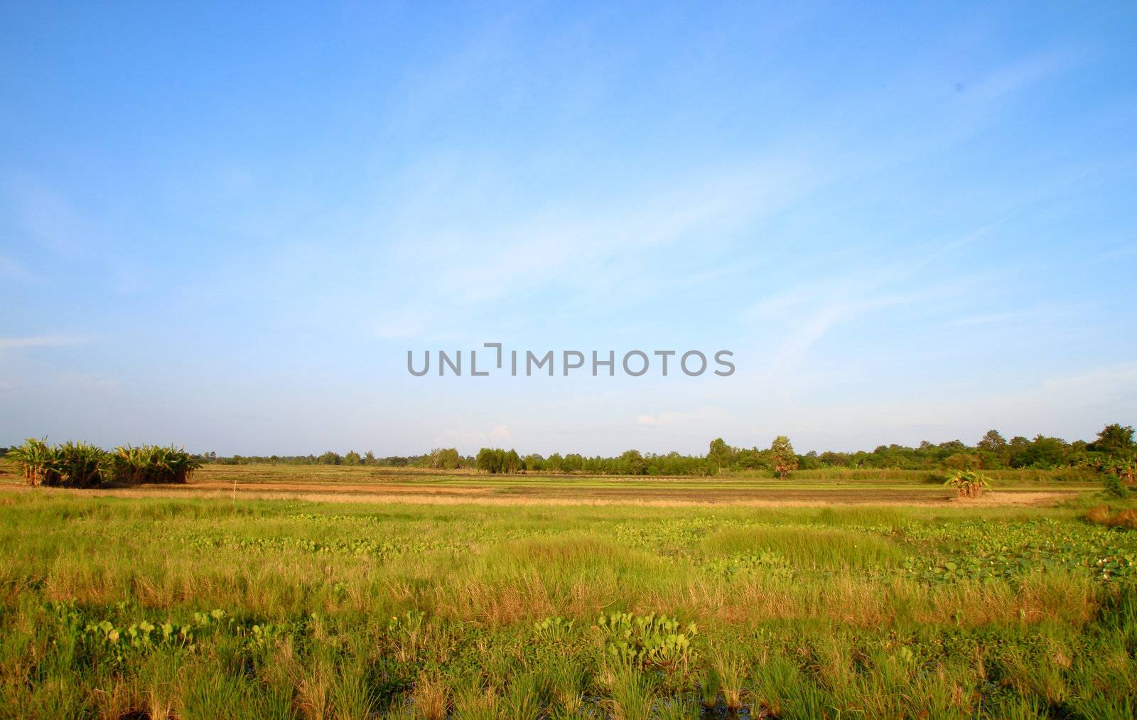 Rural landscape in country side, Thailand