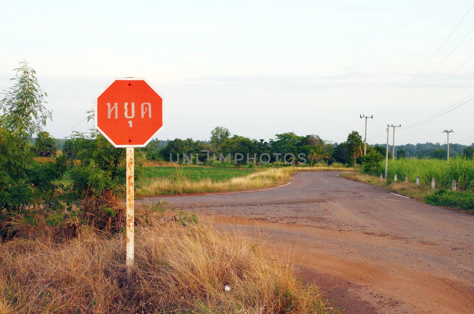 stop sign in a country road (Thai language)