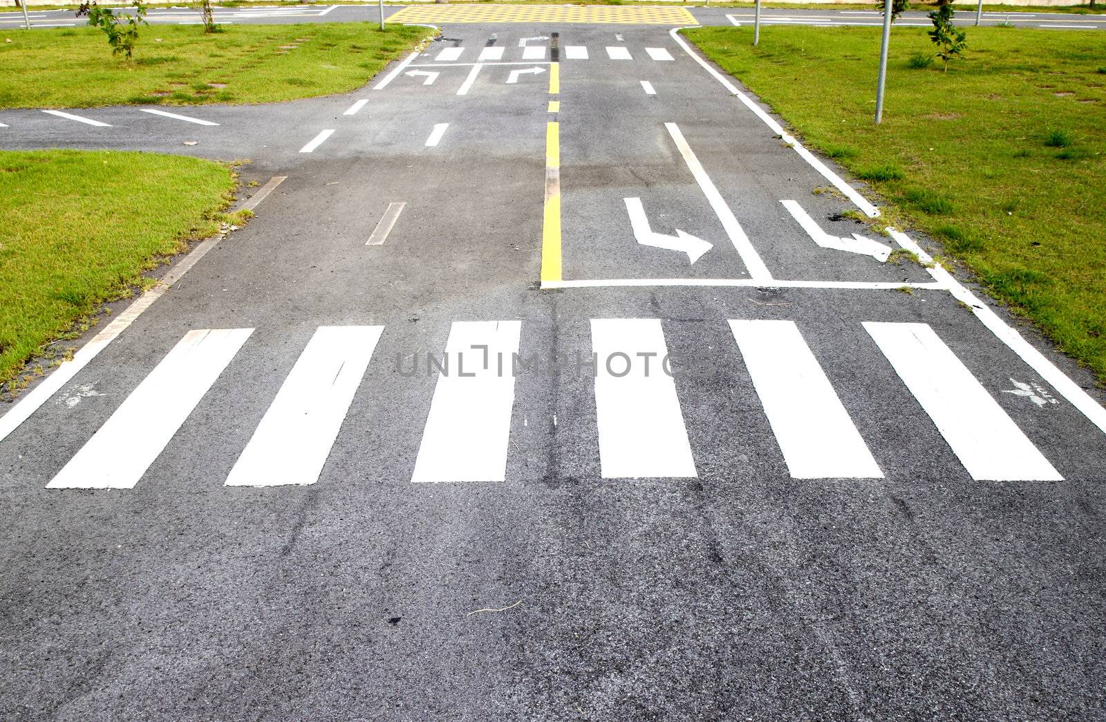 zebra way on the asphalt road surface