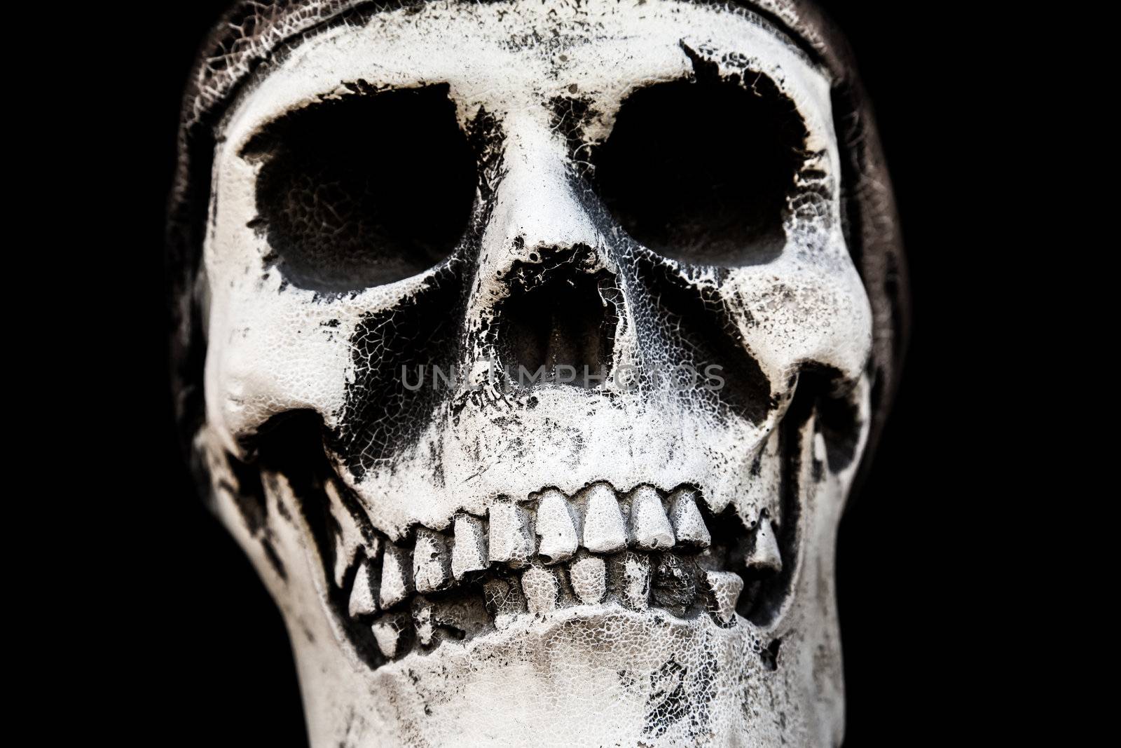 Human anatomy - ancient people skull bone
