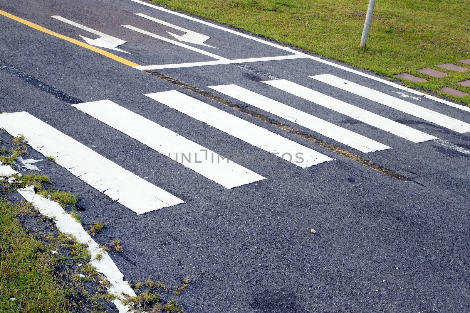 zebra way on the asphalt road surface