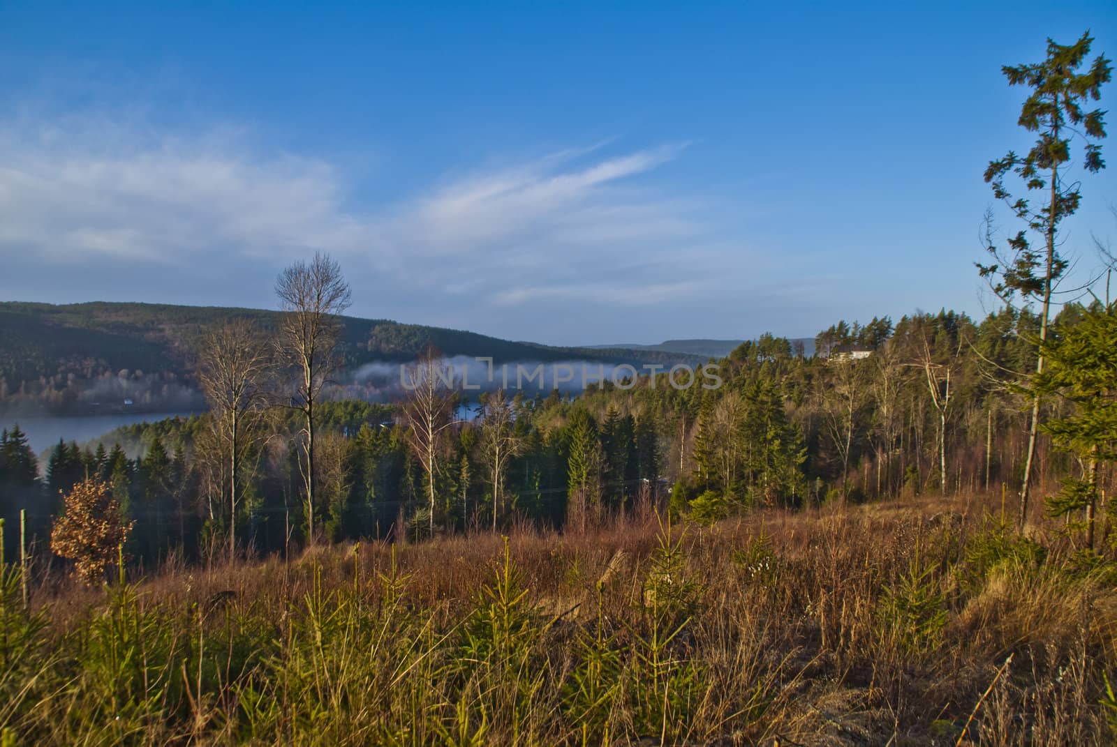 picture is shot in november 2012 at "Bakke" which is a rural village in halden municipality