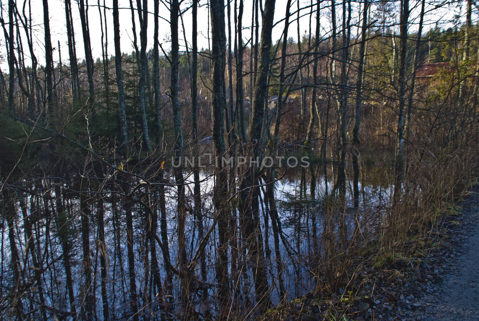 picture is shot in november 2012 at "Bakke" which is a rural village in halden municipality