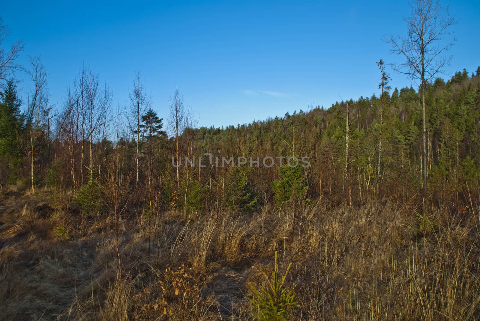 picture is shot in november 2012 at "Bakke" which is a rural village in halden municipality