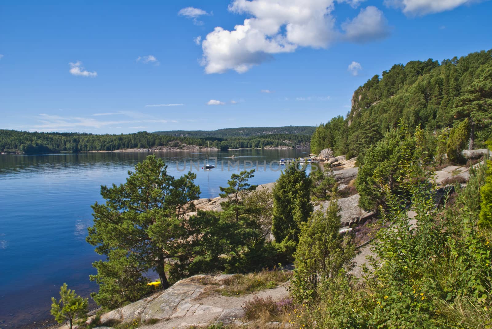 landscape sea, forest, rock and mountain by steirus