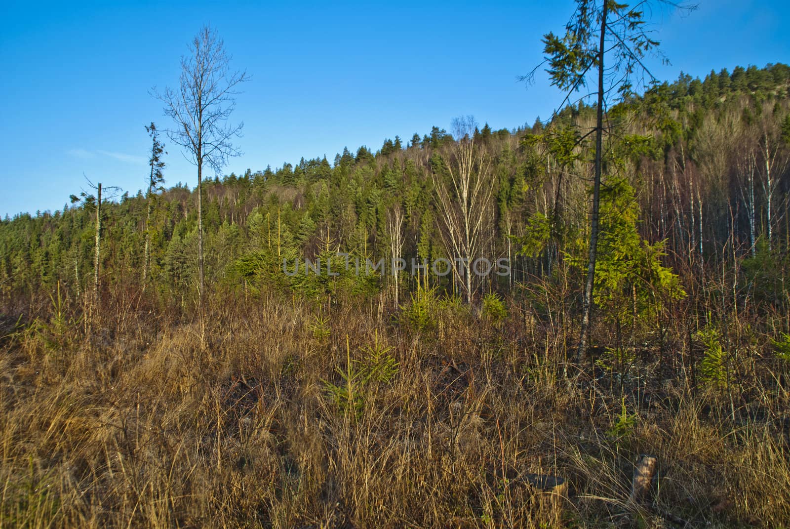 picture is shot in november 2012 at "Bakke" which is a rural village in halden municipality