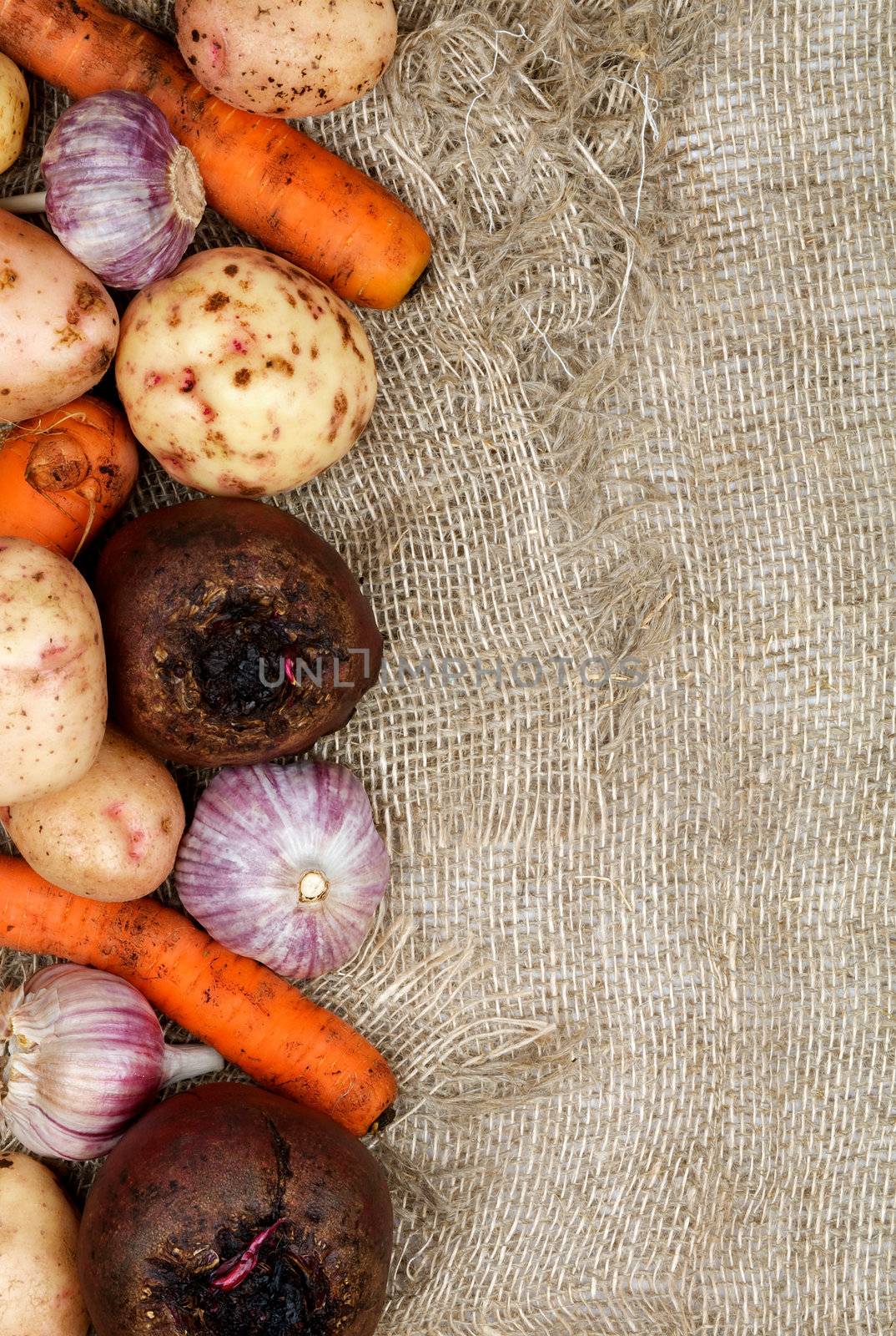 Frame of Raw Vegetables with Potato, Garlic, Carrot and Beet closeup on Sacking background