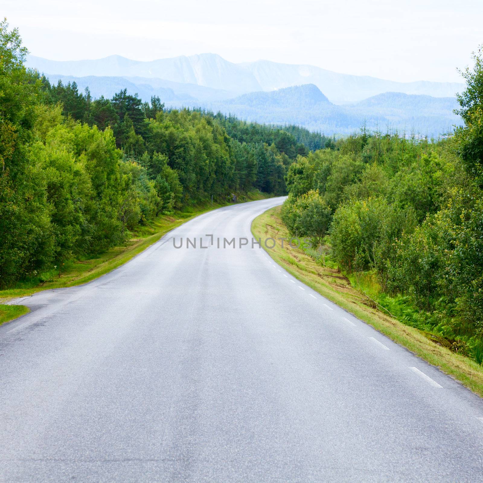 Scenic winding road through green forest in Norway