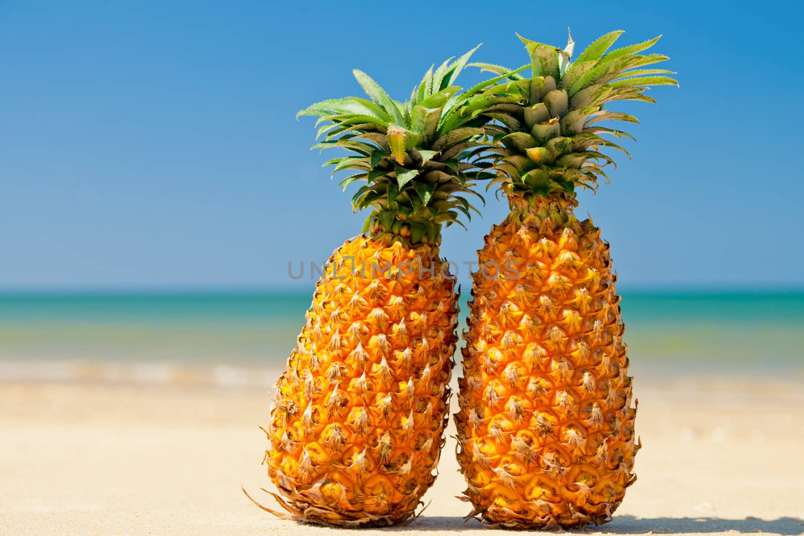 Two ripe pineapples on the sandy shore against clear blue sky