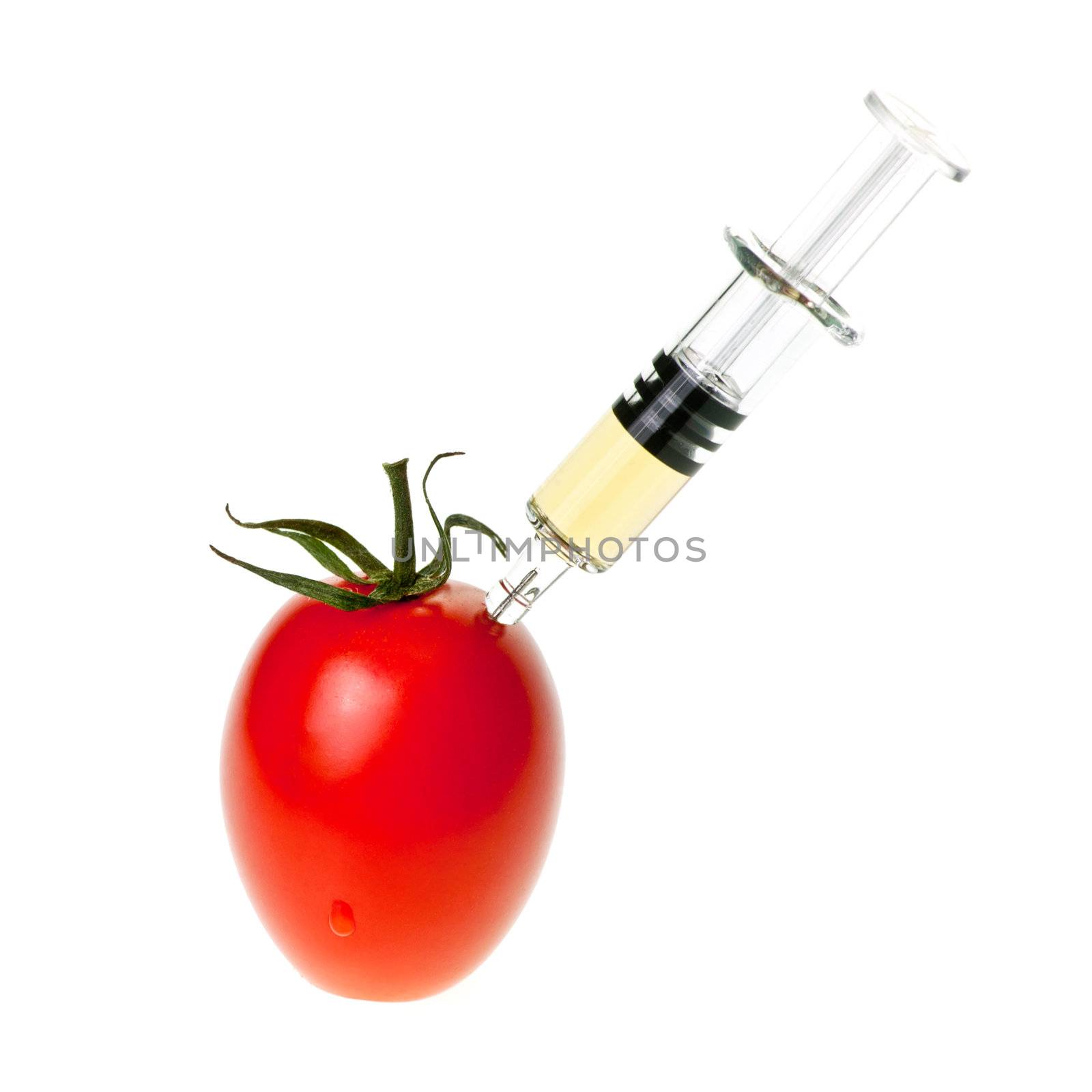 Genetic modification concept with tomato receiving an injection