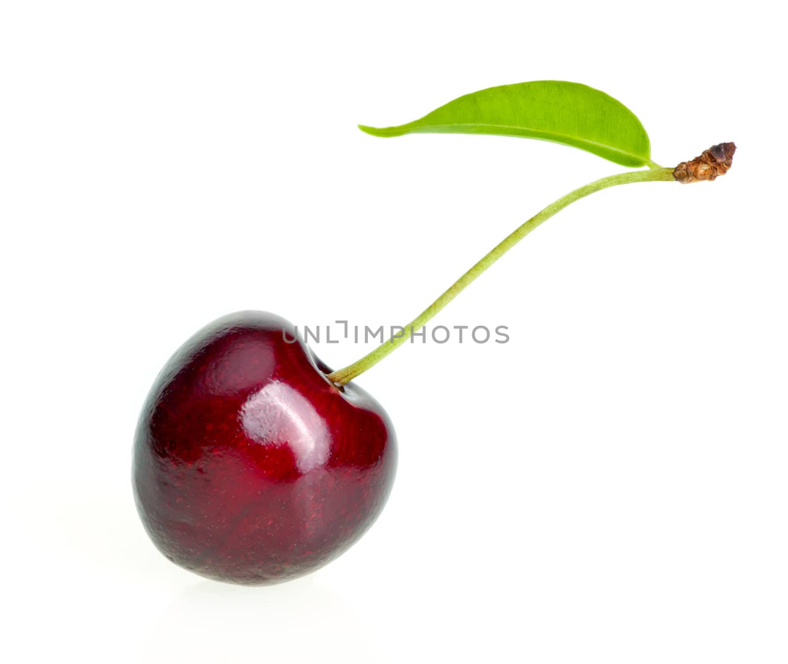 Single sweet cherry on white background