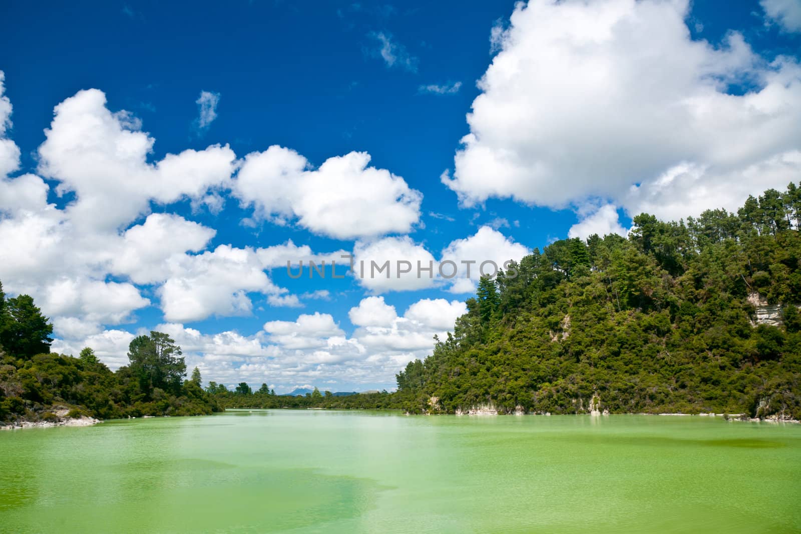 The green water of Lake Ngakoro at Wai-O-Tapu geothermal area in New Zealand