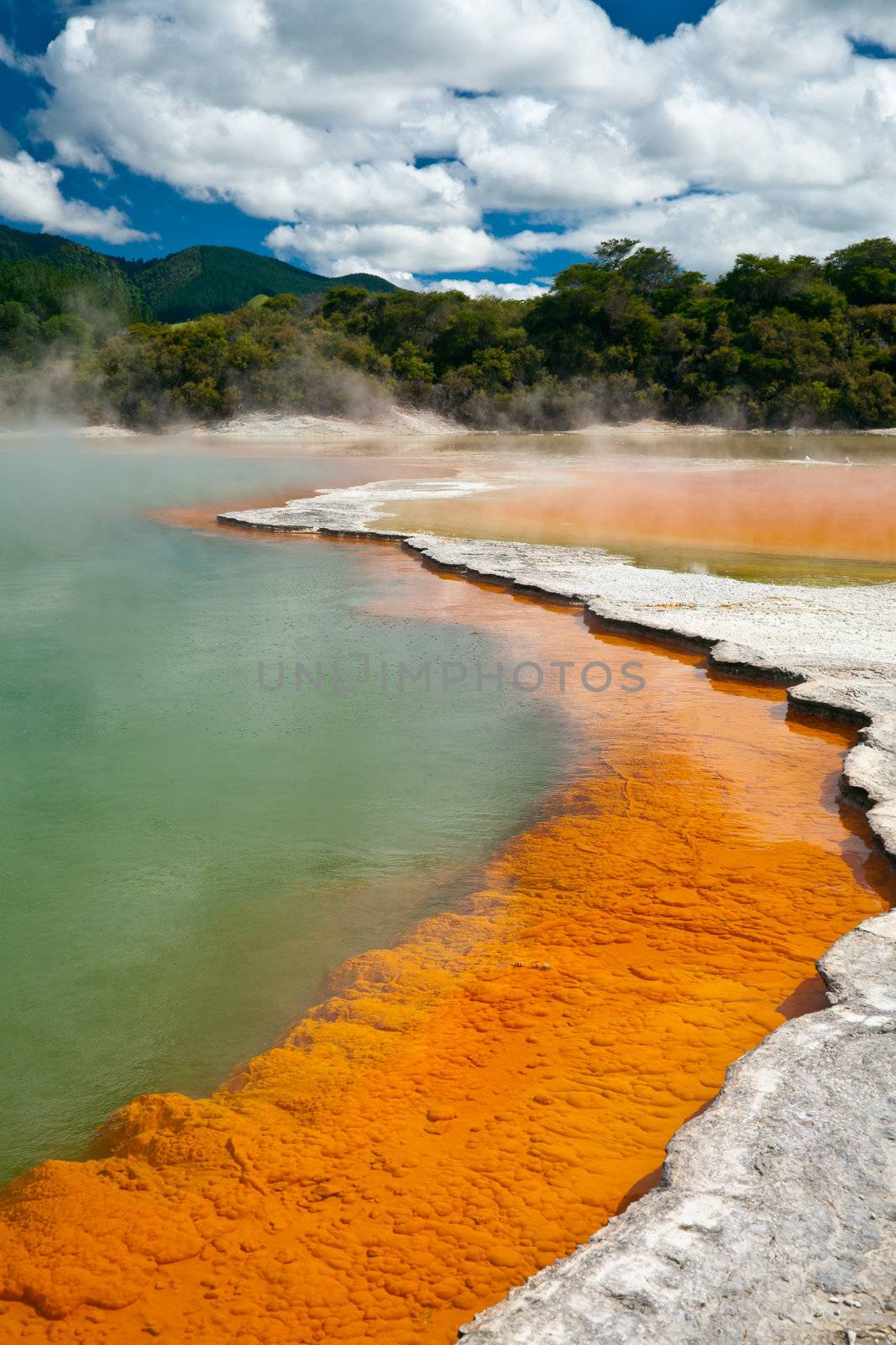 Champagne Pool at Wai-O-Tapu geothermal area in New Zealand