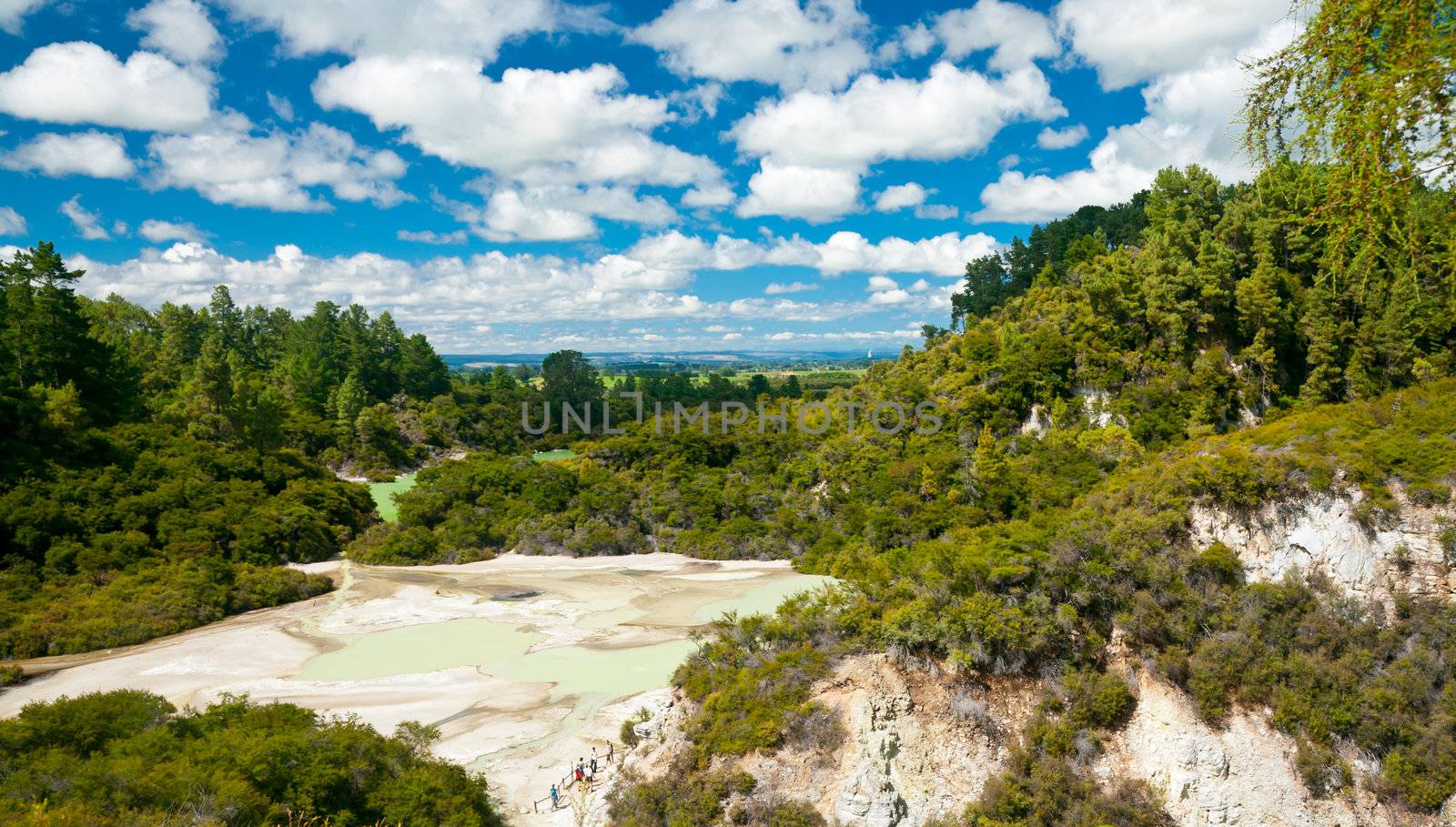 Frying Pan Flat pool at Wai-O-Tapu geothermal area in New Zealand